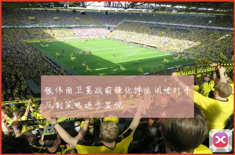 张伟丽卫冕战前强化摔法训练对手压制策略逐步显现